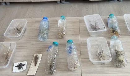 Nemrut'ta biyokaçakçılık operasyonu! 2 kişiye 1,4 milyon TL ceza
