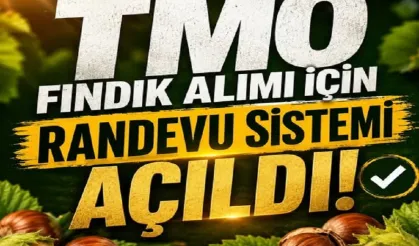 TMO fındık alımı için randevuları açtı