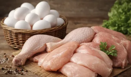 Kümes hayvancılığında üretim temmuzda yükseldi