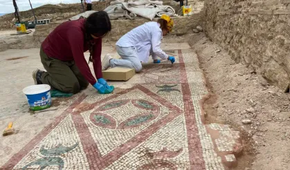 Pompeiopolis'te yeni keşif: 105 metrekarelik mozaik ve Eros başı bulundu