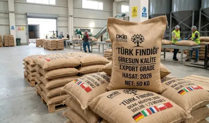 Fındık ihracatı yükseldi fiyat geride kaldı