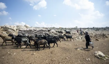 Mersin'de üreticiye güneş paneli desteği