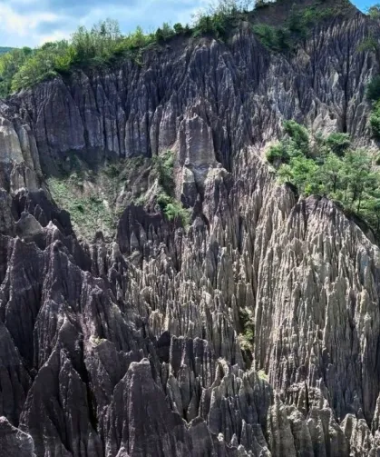 Doğa Koruma ve Milli Parklar: Korunan alan sayısı 692'ye yükseldi