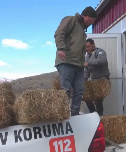 Niğde Demirkazık'ta yaban hayatına kış desteği