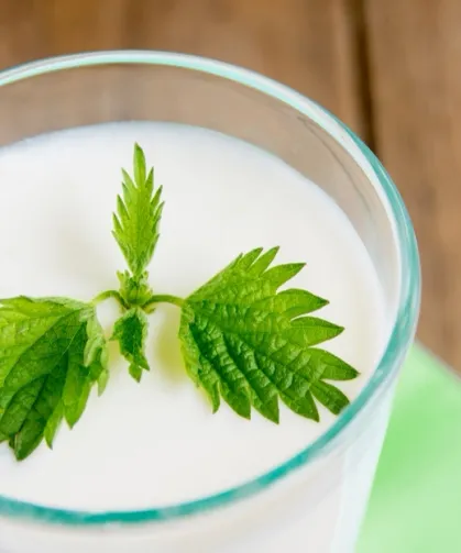Ramazan'da susuz kalmayın... Süt ve ayran hidrasyonun gizli kahramanları