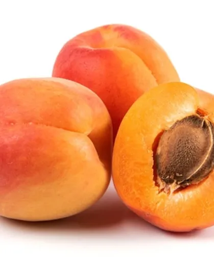 Bitkisel ürünlerde en yüksek yeterlilik kayısı ve zerdalide