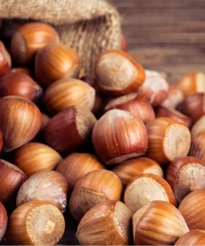 TMO'dan 'kabuklu fındık' açıklaması: Satışımız ve hazırlığımız bulunmamaktadır