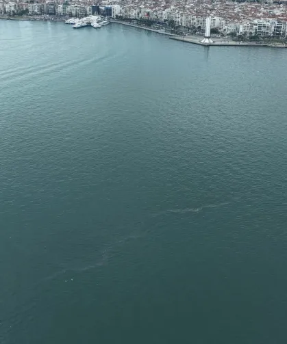 İzmir Körfezi'nde dış kaynaklı kirliliğin önüne geçilemiyor