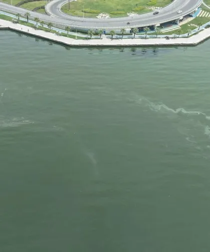 İzmir Körfezi'nde kirlilikte 10'uncu tespit