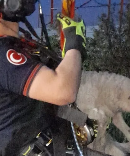 Kuyuya düşen kuzuya İzmir İtfaiyesi'nden nefes kesen kurtarma