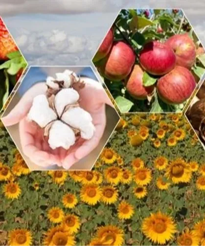 2026'da bitkisel üretimde büyük artış bekleniyor