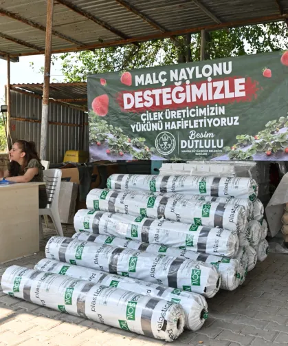 Salihli ve Köprübaşı'nda Çilek Üreticisine %75 Hibe Desteği