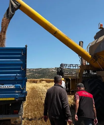 Bursa'da Hububat Hasadında Biçerdöver Denetimi: Dane Kaybına Son