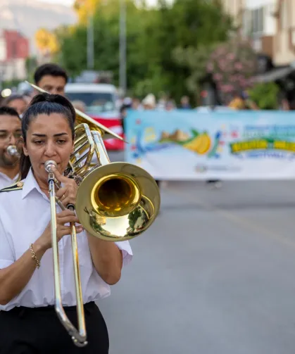 Muz Festivali start verdi