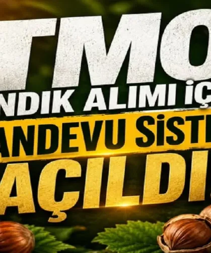TMO fındık alımı için randevuları açtı