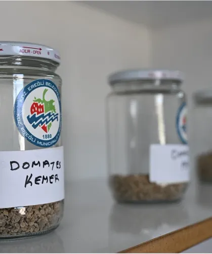 Ata Tohum projesi, katlanarak yürüyor