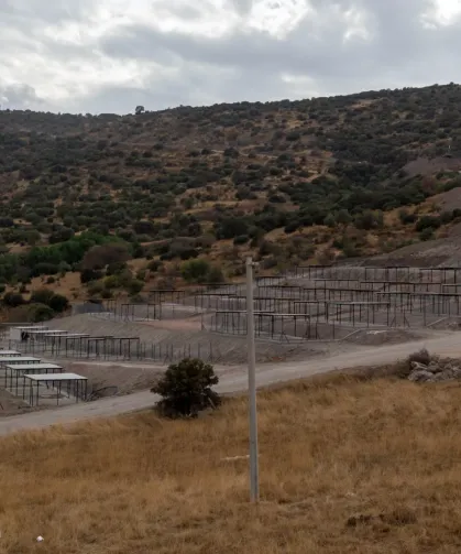 Dikili'ye tam teşekküllü sokak hayvanları kampüsü
