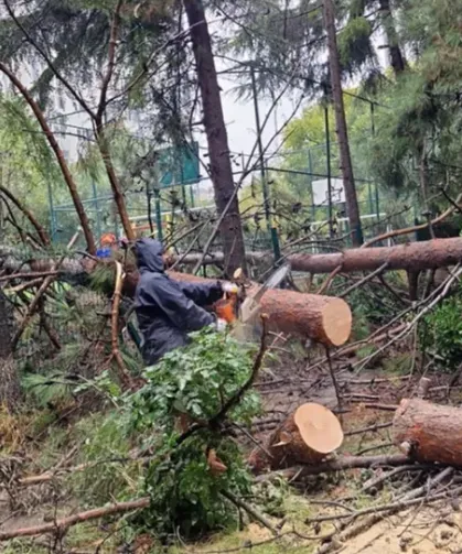 İstanbul Beylikdüzü'nde ekiplerin sağanak mesaisi