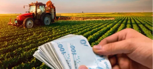338 milyon TL'lik tarımsal destekler hesaplarda
