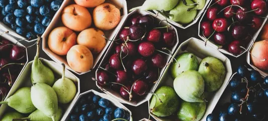 Egeli yaş meyve sebze ihracatçıları üç koldan sürdürülebilirlik atağında