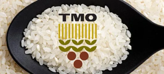 TMO: Tüm pirinçler yerli üreticiden