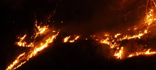 Ayvalık yangınında son durum
