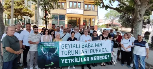 Bursa'da Kızıl Geyik Avı İhalesine Tepki: Doğa İhale Edilemez!