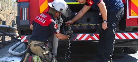 Bornova'da Orman Yangını: İtfaiye Ekipleri Bukalemunu Kurtardı