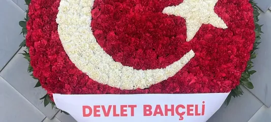 Bahçeli'den TFF Başkanı Hacıosmanoğlu'na destek mesajı
