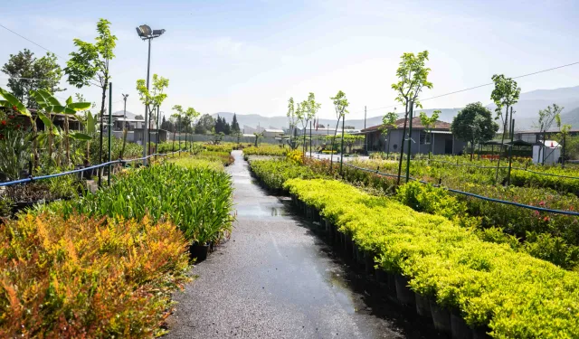 Bornova fidanlığı yeni görünümüyle göz kamaştırıyor