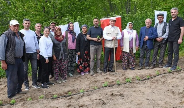 Bursa Osmangazi Belediyesi’nden tarımsal üretim adımı