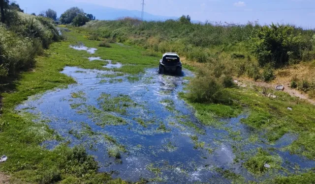 Bursa'da sinekle mücadele tüm hızıyla sürüyor