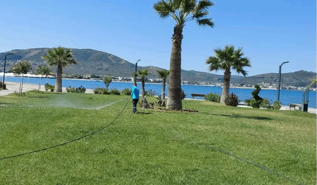 Büyükşehir ekipleri haşereye geçit vermiyor