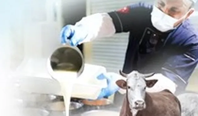 Denizli'de Kurban Bayramı kampanyası