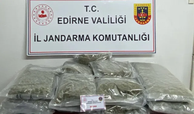 Edirne Jandarması'ndan skunk operasyonu