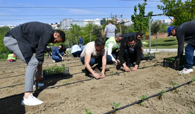 İstanbul Beylikdüzü'nde yaşam bahçesi yaza hazır