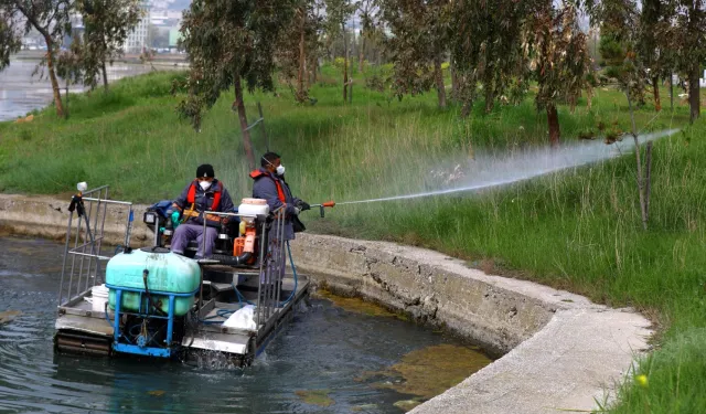 İstanbul'da sivrisinekle mücadelede önlemler arttı