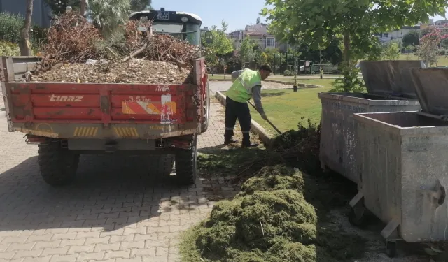İzmir Güzelbahçe'de yaz temizliği