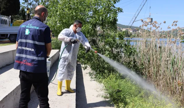 İzmit'te halk sağlığı için yoğun ilaçlama mesaisi