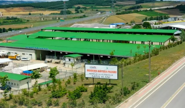 İzmit'te kurban satışı için ön kayıtlar başladı