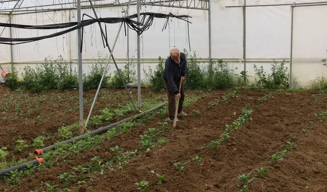 Kocaeli’nde üreticilere yüzde 50 hibeli modern sera desteği