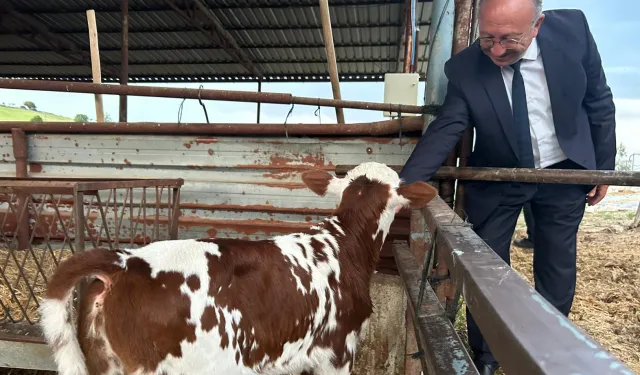 Manisa'da 'tek dam projesi' Selendi'de tanıtıldı