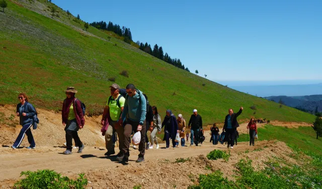 Sakarya’nın zirvesine adımladılar