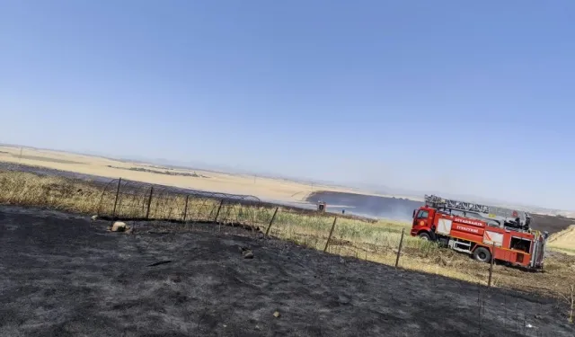 Diyarbakır Büyükşehir'den anız yangınlarına karşı uyarı