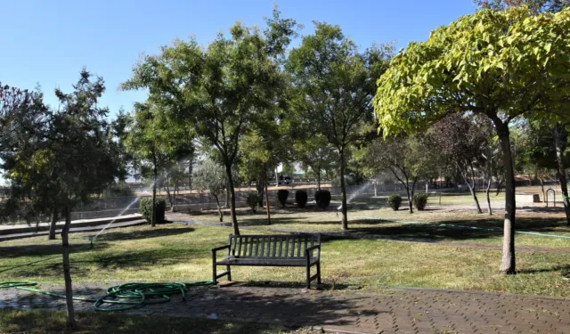 İzmir Bornova’dan 'Yeşil Dönüşüm' hamlesi