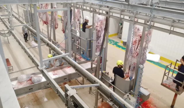 Kurbanlar Kocaeli'nin modern mezbahasında kesiliyor