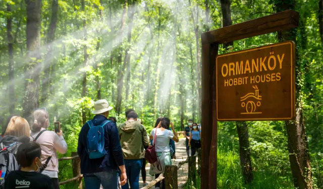 Ormanya’da yaz hazırlıkları tamam