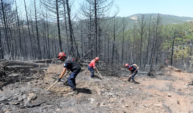 Bursa'da orman yangınlarına OSAD'dan koordineli müdahale