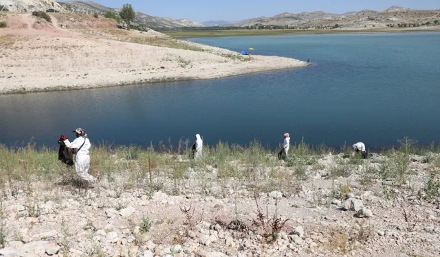 Altınapa Baraj Gölü çevresinde temizlik çalışması yaptı
