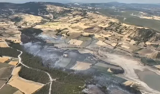 Bursa Yenişehir’deki orman yangını kontrol altındd
